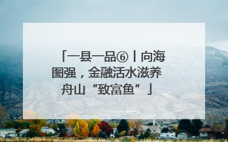 一县一品⑥丨向海图强，金融活水滋养舟山“致富鱼”